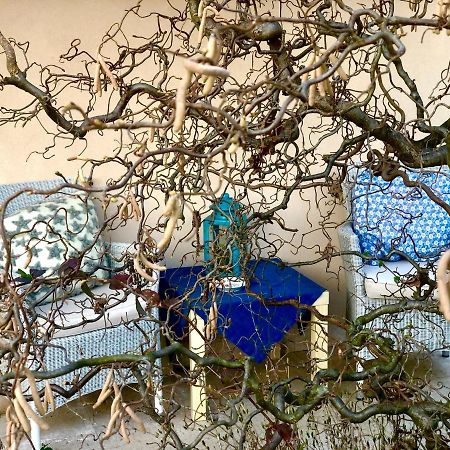 Boccadibacco Bed & Breakfast ซานเปียโตร อิน กาเรียโน ภายนอก รูปภาพ